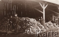 1915, Lwów.

 Żołnierze rosyjscy rąbiący drewno na opał.
 Fot. NN, zbiory Ośrodka KARTA, udostępnił Jurij Karpenczuk
   
