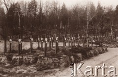 1916, Lwów
 Groby Polaków poległych w latach 1914-1915.
 Fot. NN, zbiory Ośrodka KARTA, udostępnił Jurij Karpenczuk
   
