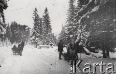 1900-1914, Zakopane okolice, Austro-Węgry.
 TransPort drewnianych bali, z lewej góralskie sanie.
 Fot. NN, zbiory Ośrodka KARTA, udostępnił Jurij Karpenczuk
   
