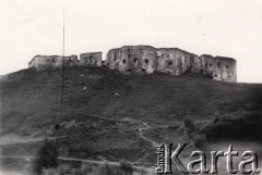 Przed 1914, Jagielnica k/TarnoPola, Austro-Węgry.
 Ruiny zamku wybudowanego w XVII w. przez Stanisława Lanckorońskiego, hetmana wielkiego koronnego.
 Fot. NN, zbiory Ośrodka KARTA, udostępnił Jurij Karpenczuk
   
