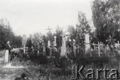 Po 1906, Lwów, Austro-Węgry.
 Cmentarz Łyczakowski, z lewej obelisk na grobie Zenona Szymańskiego zmarłego w 1906 r.
 Fot. NN, zbiory Ośrodka KARTA, udostępnił Jurij Karpenczuk
   
