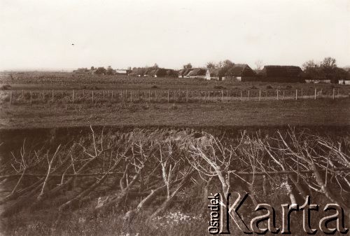 1915, Lwów, Austro-Węgry.
System obronny na przedPolach wioski, na pierwszym planie gałęzie, dalej zasieki z drutu.
Fot. NN, zbiory Ośrodka KARTA, udostępnił Jurij Karpenczuk