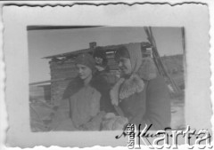 Jesień 1941, Ammała, rejon Kozulski, Krasnojarski Kraj, ZSRR.
Kołchoz 
