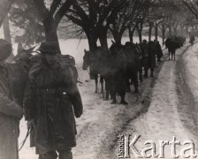 Po grudniu 1943, Włochy.
Działania 2 Korpusu Polskiego. Żołnierze prowadzą objuczone muły przez zaśnieżoną drogę. Podpis na odwrocie: 