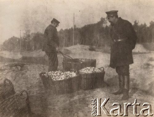 1919-1920, brak miejsca, Polska.
 Urzędnik ze Straży Granicznej.
 Fot. NN, zbiory Ośrodka KARTA, udostępnił Stanisław Blichiewicz
   
