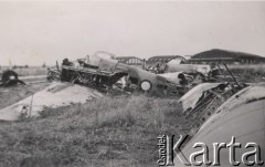 Czerwiec 1940, Francja.
 Zniszczone samoloty z oznaczeniami australijskimi na lotnisku, w tle hangary.
 Fot. NN, zbiory Ośrodka KARTA, udostępnił Stanisław Blichiewicz
   
