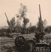 1941, Brześć nad Bugiem (Brześć Litewski).
 Okolice Twierdzy Brześć, trzy rozbite radzieckie armaty przeciwlotnicze 85 mm.
 Fot. NN, zbiory Ośrodka KARTA, udostępnił Stanisław Blichiewicz
   
