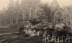 1941, ZSRR.
 Radziecki czołg T 34/76a na skraju lasu.
 Fot. NN, zbiory Ośrodka KARTA, udostępnił Stanisław Blichiewicz
   
