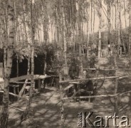 1941, Brześć nad Bugiem (Brześć Litewski). okolice
 Obóz leśny armii niemieckiej. Na zdjęciu widać trzech żołnierzy - jeden, z orkiestry wojskowej, stoi w pełnym umundurowaniu, z hełmem na głowie, na ramionach łapki orkiestranta.
 Fot. NN, zbiory Ośrodka KARTA, udostępnił Stanisław Blichiewicz
   
