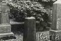 1986, Wilno, Litewska SRR, ZSRR
Niszczejący cmentarz na Rossie.
Fot. NN, zbiory Ośrodka KARTA, udostępniła Halina Cieszkowska