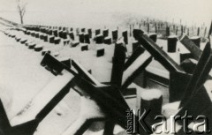 Brak daty, brak miejsca.
Niezidentyfikowany cmentarz ofiar wojennych. 
Fot. NN, zbiory Ośrodka KARTA, przekazał Jan Ptasiński