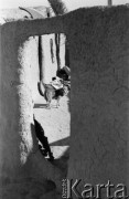 1943, Irak.
Pies na podwórzu przed chatą.
Fot. Czesław Dobrecki, zbiory Ośrodka KARTA, Pogotowie Archiwalne [PAF_015], przekazał Krzysztof Dobrecki
