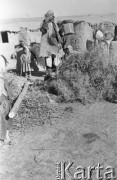 1943, Irak.
Mieszkańcy wioski przed chatami.
Fot. Czesław Dobrecki, zbiory Ośrodka KARTA, Pogotowie Archiwalne [PAF_015], przekazał Krzysztof Dobrecki
