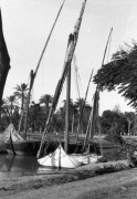 1941-1942, Egipt.
Feluki na Nilu.
Fot. Czesław Dobrecki, zbiory Ośrodka KARTA, Pogotowie Archiwalne [PAF_015], przekazał Krzysztof Dobrecki