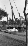 1941-1942, Egipt.
Feluki na Nilu.
Fot. Czesław Dobrecki, zbiory Ośrodka KARTA, Pogotowie Archiwalne [PAF_015], przekazał Krzysztof Dobrecki