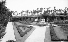 1943, Kair, Egipt.
Widok ogrodu, w tle palmy.
Fot. NN, zbiory Ośrodka KARTA, Pogotowie Archiwalne [PAF_015], przekazał Krzysztof Dobrecki
