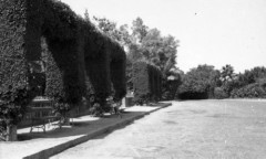 1943, Kair, Egipt.
Widok ogrodu.
Fot. NN, zbiory Ośrodka KARTA, Pogotowie Archiwalne [PAF_015], przekazał Krzysztof Dobrecki
