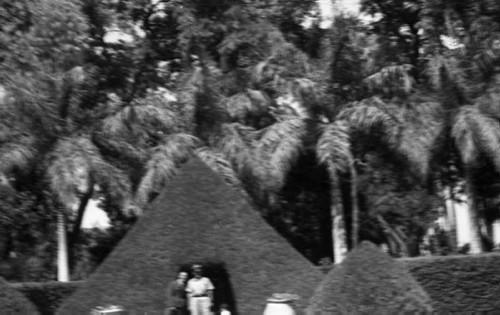 1943, Kair, Egipt.
Fragment ogrodu.
Fot. Czesław Dobrecki, zbiory Ośrodka KARTA, Pogotowie Archiwalne [PAF_015], przekazał Krzysztof Dobrecki