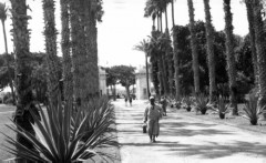1943, Kair, Egipt.
Fragment parku.
Fot. Czesław Dobrecki, zbiory Ośrodka KARTA, Pogotowie Archiwalne [PAF_015], przekazał Krzysztof Dobrecki