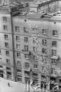 Maj 1989, Warszawa, Polska.
Ulica Świętokrzyska róg Marszałkowskiej. Akcja transparentowo - ulotkowa przed wyborami 
4 czerwca. Treść transparentu: 