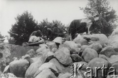 Sierpień 1932, Kanał Białomorski, ZSRR.
Transportowanie kamieni na sankach zaprzężonych w dwa konie. Niewykonanie norm dziennych powodowało zmniejszenie racji żywnościowych.
Fot. NN, zbiory Ośrodka KARTA