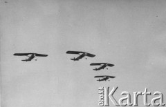 1938-1939, brak miejsca, Polska.
 Samoloty RWD-8 z dęblińskiej szkoły lotniczej.
 Fot. NN, album lotnika Tadusza Hojdena udostępniła Marzena Deniszczuk-Czerniecka
   

