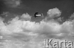 1938-1939, brak miejsca, Polska.
 Samolot RWD-8.
 Fot. NN, album lotnika Tadusza Hojdena udostępniła Marzena Deniszczuk-Czerniecka
   
