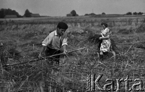 1972, Nowa Wieś, Polska.
Mokre żniwa. Tradycyjne zbiory zbóż przy pomocy kosy. 
Fot. Wojciech Druszcz, zbiory Ośrodka KARTA