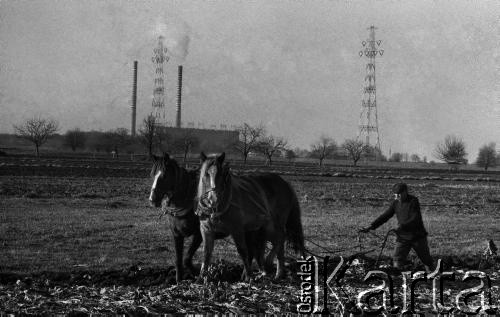 1973, Rokoszyce, Polska.
Orka przy pomocy pługa.
Fot. Wojciech Druszcz, zbiory Ośrodka KARTA