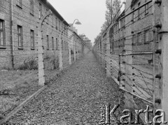 1976-1978, Oświęcim, woj. bielskie, Polska.
Dawny nazistowski obóz koncentracyjny Aushwitz-Birkenau.
Fot. Joanna Helander, zbiory Ośrodka KARTA
