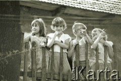 1986, Polska.

Dzieci na trasie pielgrzymki na Jasną Górę.

Fot. Jerzy Szot, zbiory Ośrodka KARTA