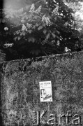 Maj - czerwiec 1989, Kraków, Polska
Kampania wyborcza przed wyborami do Sejmu. Na murze wisi plakat wyborczy ze zdjęciem Jana Marii Rokity i napisem: 