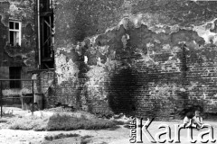 1993, Kraków, Polska.
Krakowski Kazimierz - chłopcy bawiący się na podwórku. W tle trzepak.
Fot. Jerzy Szot, zbiory Ośrodka KARTA
