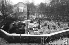 1985, Kraków, Polska.
Cmentarz żydowski przy ulicy Miodowej.
Fot. Piotr Dylik, zbiory Ośrodka KARTA