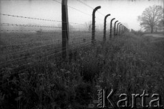 1988, Oświęcim, Polska.
KL Auschwitz Birkenau. Ogrodzenie obozu.
Fot. Piotr Dylik, zbiory Ośrodka KARTA