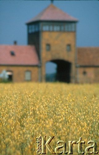 1992, Oświęcim, Polska.
KL Auschwitz Birkenau. Pole owsa. W głębi brama obozu.
Fot. Piotr Dylik, zbiory Ośrodka KARTA