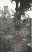1945, Warszawa. 
Tablica na drzewie upamiętniająca miejsce straceń. 
Fot. NN, Studium Polski Podziemnej w Londynie