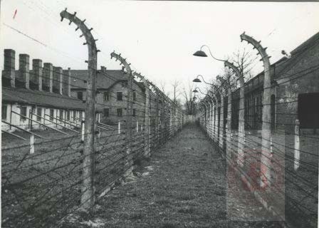 1945-1980, Oświęcim.
Ogrodzenie obozu koncentracyjnego Auschwitz-Birkenau. 
Fot. NN, Studium Polski Podziemnej w Londynie