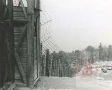 1944-1953, okolice Natzwiller, Francja.
Ogrodzenie niemieckiego obozu koncentracyjnego Natzweiler-Struthof. Obóz powstał w 1941. Przeprowadzano w nim liczne eksperymenty pseudomedyczne. Liczbę ofiar szacuje się na 6-12 tysięcy. Obóz wyzwolono we wrześniu 1944.
Fot. NN, Studium Polski Podziemnej w Londynie