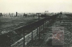 1945-1970, Oświęcim. 
Zespół obózów koncentracyjnych Auschwitz-Birkenau. W tle widoczna brama wjazdowa do obozu Auschwitz II. Obóz powstał w 1940 jako obóz jeniecki, później rozbudowany. Szacuje się, że w obozie zginęło około 1,1 miliona osób z czego około 90% stanowili Żydzi, głównie z Węgier i Polski. Obóz wyzwolono 27 stycznia 1945 roku.
Fot. NN, Studium Polski Podziemnej w Londynie