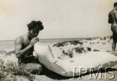 1943, Tunezja, Afryka.
