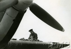 1940-1944, Wielka Brytania.
Na skrzydle samolotu siedzi mechanik z taśmą amunicyjną do karabinu maszynowego.
Fot. NN, Instytut Polski i Muzeum im. gen. Sikorskiego w Londynie [sygn. 4741]