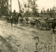 1919-1920, brak miejsca.
Transport artyleryjski na leśnej drodze, z prawej działo polowe.
Fot. NN, Instytut Polski i Muzeum im. gen. Sikorskiego w Londynie

