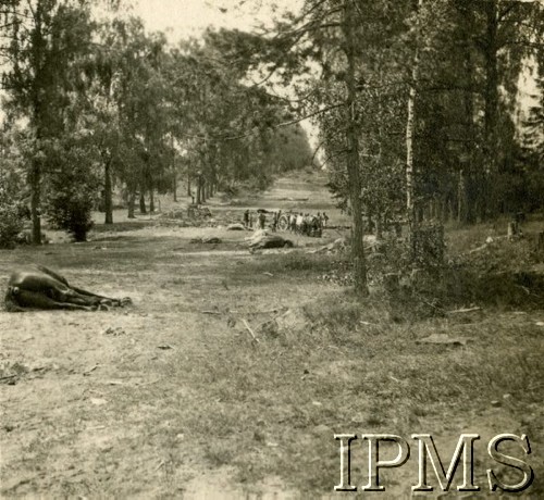 1919-1920, brak miejsca.
Droga w lesie, konie zabite podczas ostrzału, w tle żołnierze obok działa.
Fot. NN, Instytut Polski i Muzeum im. gen. Sikorskiego w Londynie

