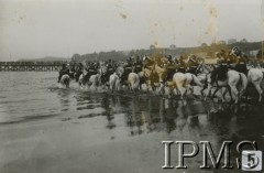 31.07.1932, Gdynia, Polska.
Trębacze i szwadrony zbiorowe pułków Brygady Kawalerii 