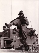 Sierpień 1944, Normandia, Francja.
1 Dywizja Pancerna podczas walk w Normandii.
Fot. NN, Instytut Polski i Muzeum im. gen. Sikorskiego w Londynie