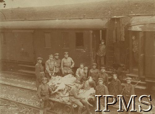 1919, brak miejsca.
Wojna polsko-ukraińska. Świńskie półtusze na drezynie - prowiant dla załogi pociągu pancernego P.P.3. 