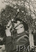 Wiosna 1941, Szkocja, Wielka Brytania.
Żołnierz 10 Pułku Strzelców Konnych na posterunku obserwacyjnym.
Fot. NN, Instytut Polski i Muzeum im. gen. Sikorskiego w Londynie [szuflada 46 - WP w Wielkiej Brytanii]