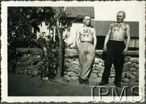 1941, brak miejsca.
Dwaj mężczyźni z numerami wymalowanymi na piersiach.
Fot. NN, Instytut Polski i Muzeum im. gen. Sikorskiego w Londynie