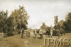1919, Wołyń.
Przegląd koni na postoju.
Fot. NN, Instytut Polski i Muzeum im. gen. Sikorskiego w Londynie